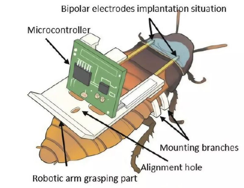 Robot Kecoak Universitas Teknologi Nanyang