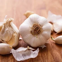 Studi Ungkap Bawang Putih Ternyata Bisa Jadi Mouthwash Alami Lawan Bakteri