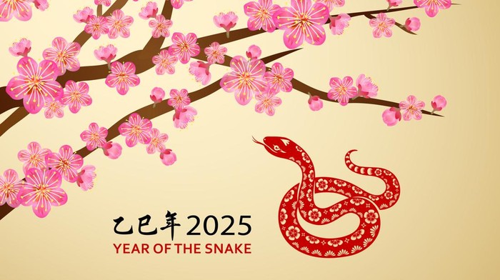 Celebrate Year of the Snake 2025 with papercutting red dragon on the plum blossom background, the Chinese phrase means year of the snake according to lunar calendar system
