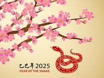 Arti Ular Kayu dalam Tahun Baru Imlek 2025, Ini Maknanya