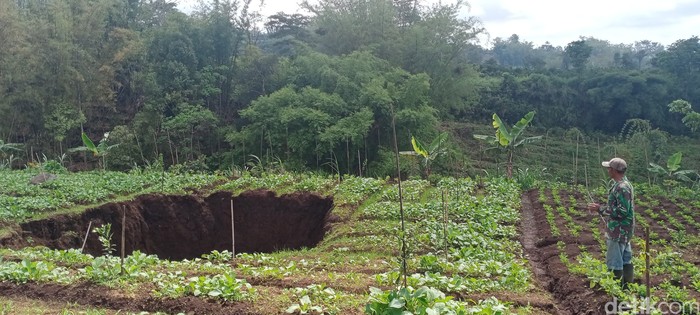 Tanah pertanian di Kota Batu ambles