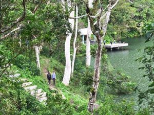 Keindahan Danau Rana Mese, Surga Tersembunyi di Hutan Manggarai Timur