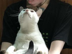 Gemas! Potret Tatapan Romantis Hewan ke Pemiliknya