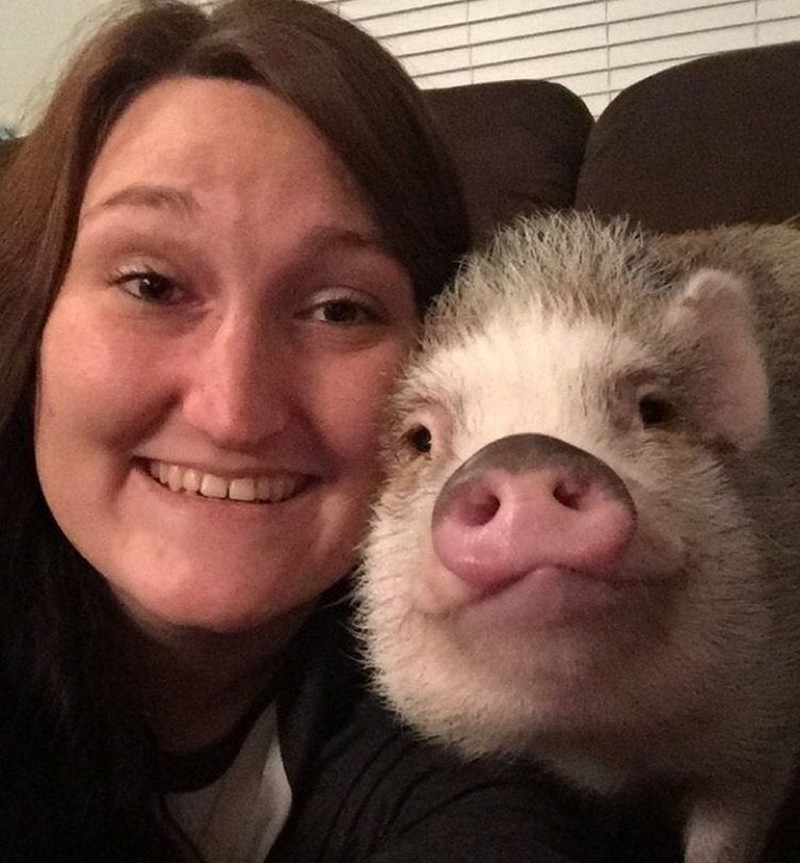 Gemas! Potret Tatapan Romantis Hewan ke Pemiliknya