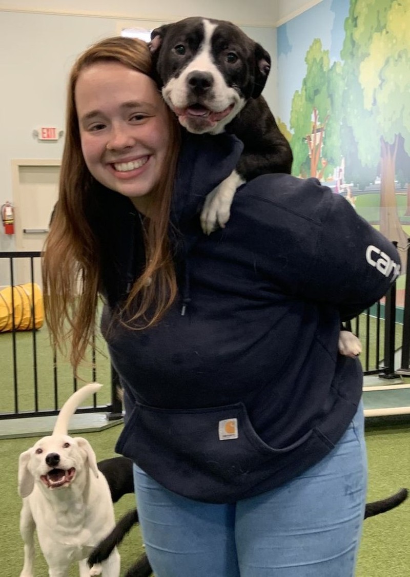 Gemas! Potret Tatapan Romantis Hewan ke Pemiliknya