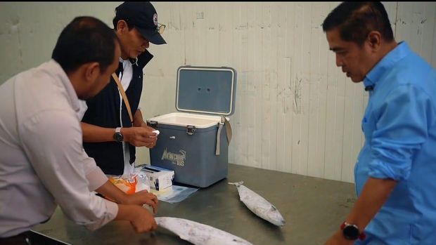 Kementerian Kelautan dan Perikanan (KKP) memastikan stok dan mutu hasil perikanan aman untuk memenuhi kebutuhan masyarakat selama musim liburan Hari Raya Natal sampai tahun baru (Nataru), meski kebutuhan ikan konsumsi diperkirakan meningkatkan 5,45% dibandingkan bulan sebelumnya, yaitu bulan November 2024 sebesar 0,9 juta ton menjadi 0,95 juta ton. (Dok: KKP) Kementerian Kelautan dan Perikanan (KKP) memastikan stok dan mutu hasil perikanan aman untuk memenuhi kebutuhan masyarakat selama musim liburan Hari Raya Natal sampai tahun baru (Nataru), meski kebutuhan ikan konsumsi diperkirakan meningkatkan 5,45% dibandingkan bulan sebelumnya, yaitu bulan November 2024 sebesar 0,9 juta ton menjadi 0,95 juta ton. (Dok: KKP)