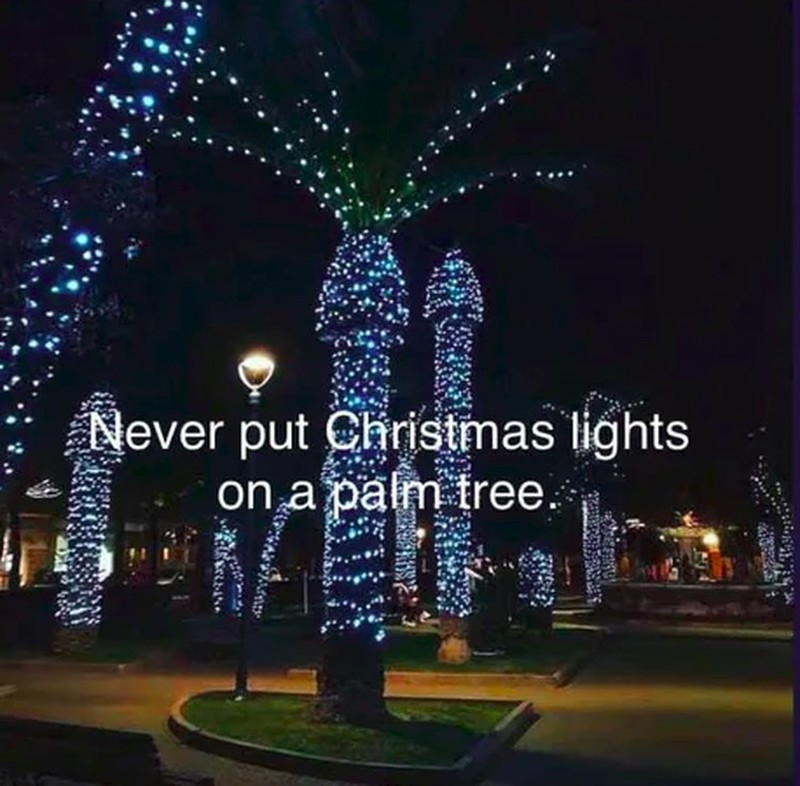 Kumpulan Potret Kreatif Pohon Natal Antimainstream