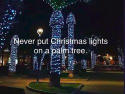 Kumpulan Potret Kreatif Pohon Natal Antimainstream