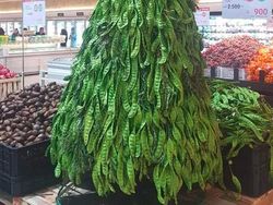 Kumpulan Potret Kreatif Pohon Natal Antimainstream