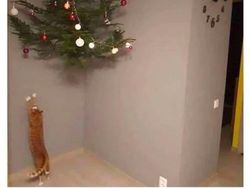 Kumpulan Potret Kreatif Pohon Natal Antimainstream