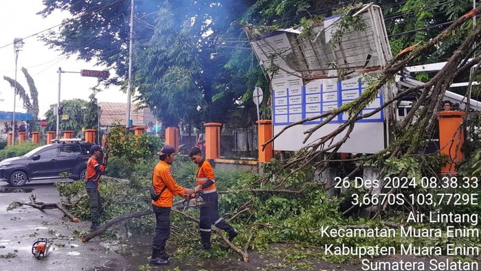 Pembersihan lokasi pohon tumbang dilakukan di Muara Enim.