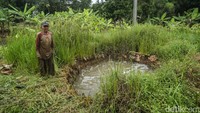Seorang pemilik lahan bernama Suib tengah membersihkan enceng gondok yang tumbuh di sumur berkandungan minyak, gas dan belerang itu.