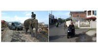 Tsunami 2024 sebagai sebuah pengingat, bencana maha dasyat pada akhir Desember 2004 yang telah membuka mata dunia untuk lebih memahami tentang mitigasi bencana, solidaritas kemanusian dan pendidikan kebencanaan untuk generasi yang akan datang.