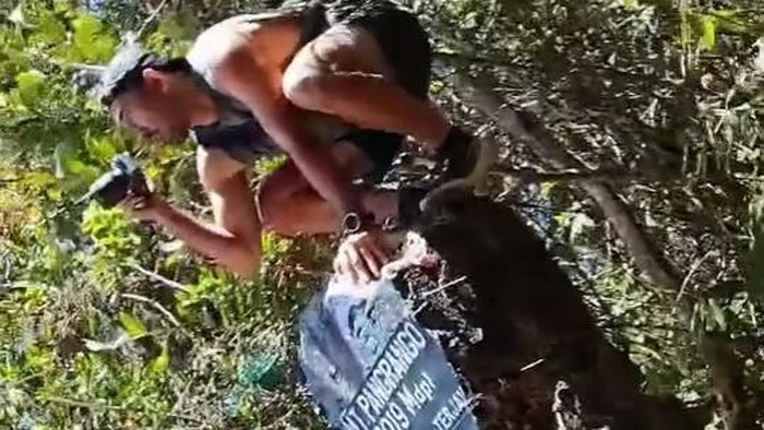 Potongan video pendaki naik ke tugu Gunung Pangrango
