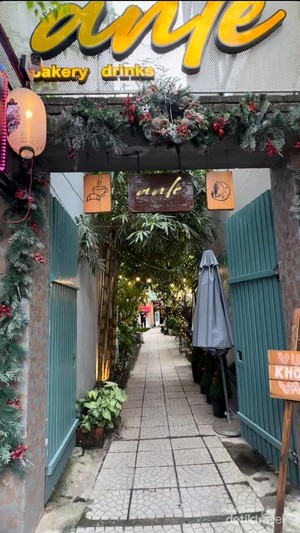Merayakan Natal dengan Menikmati Kopi Langsung di Vietnam