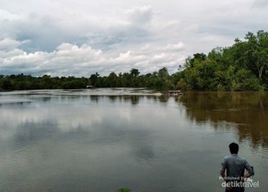 Menyelami Budaya Suku Dayak dan Bertemu Orang Utan di Sei Gohong