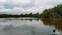 Sungai Rungan yang lebar, nun jauh di seberang adalah pulau Kaja