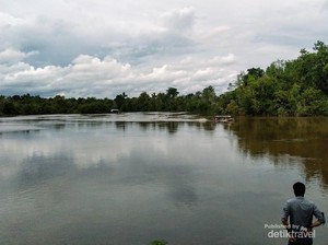 Menyelami Budaya Suku Dayak dan Bertemu Orang Utan di Sei Gohong