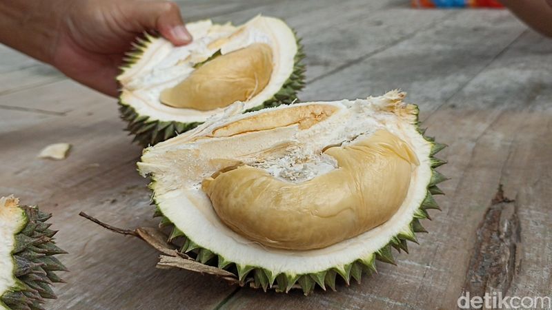 Wisata petik durian premium di Blitar