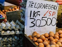 Akhir Tahun, Harga Telur Ayam Tembus Rp 30 Ribu Per Kilo