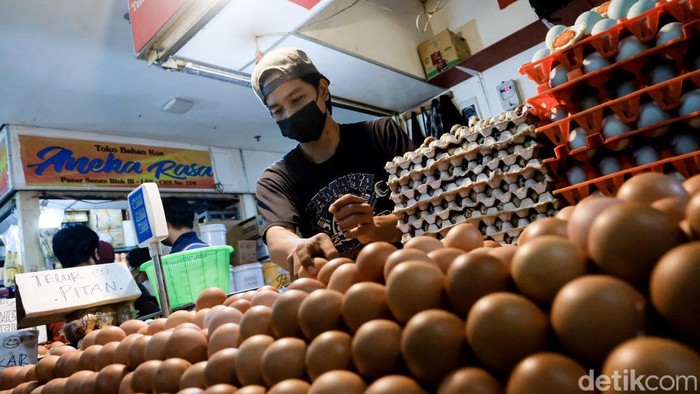 Akhir Tahun, Harga Telur Ayam Tembus Rp 30 Ribu Per Kilo Harga telur ayam negeri merangkak naik menjelang pergantian tahun. Harga telur mencapai Rp 30 ribu per kilogram.