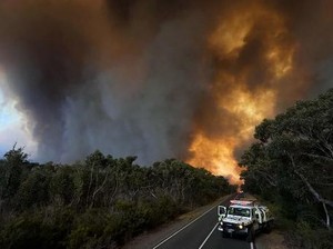 Kebakaran Hutan Parah Landa Australia, Area Seluas Singapura Ludes Terbakar