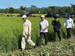 Mentan Amran Menelusuri Jaringan Irigasi di Konawe demi Swasembada