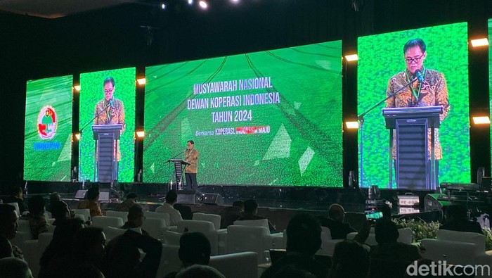 Ketua Umum Dekopin Priskhianto. (Dwi/detikcom)