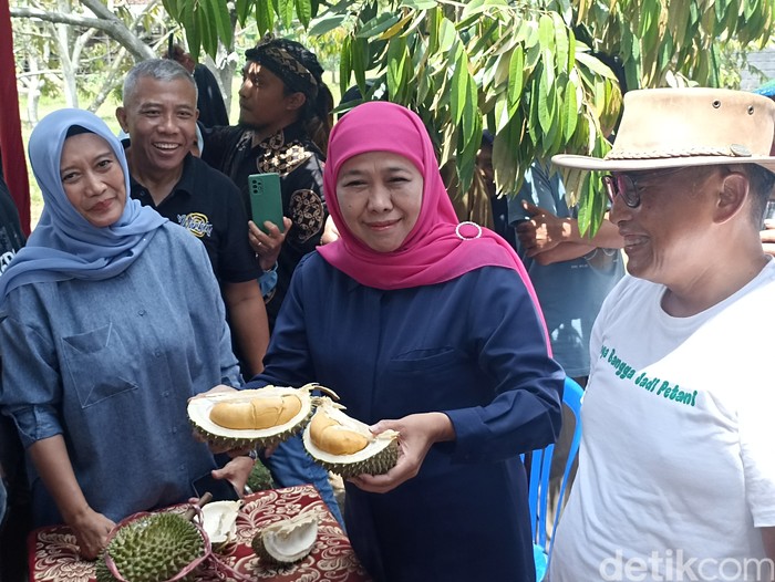 Khofifah di kebun durian premium Blitar
