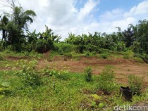 Kades Siapkan Tanah, Warga Sedusun Terdampak Tol di Magelang Akan Pindah Bareng