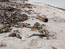 Polisi Lacak Identitas Potongan Tubuh di Pantai Selayar Lewat IMEI Ponsel