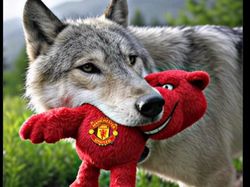 Meme Man United Kalah 0-2 dari Wolves, Diminta Merger dengan Man City