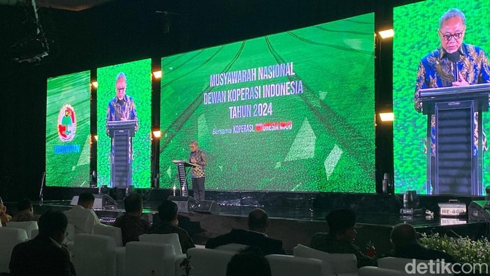 Menteri Koordinator Bidang Pangan Indonesia, Zulkifli Hasan (Zulhas). (Dwi/detikcom)