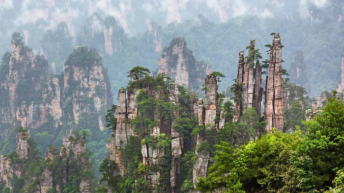 Taman Hutan Nasional Zhangjiajie Taman Hutan Nasional Zhangjiajie