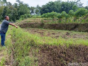 Penampakan Sawah 0,3 Meter Mulyanto Penerima UGR Terkecil Tol Jogja-Bawen