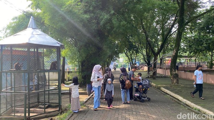 Suasana pengunjung menonton satwa di Semarang Zoo, Kecamatan Ngaliyan, Jumat (27/12/2024).