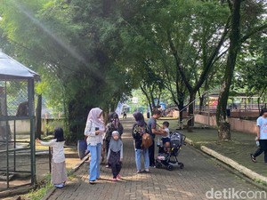Kunjungan di Semarang Zoo Naik 4 Kali Lipat Sepanjang Natal-Tahun Baru