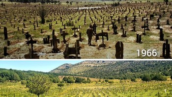 The Ecstacy of Gold (The Good, the Bad and the Ugly, Pemakaman Sad Hill, Santo Domingo de Silos, Provinsi Burgos, Spanyol). Dulu: 1966, sekarang: Juli 2024. Foto: Boredpanda