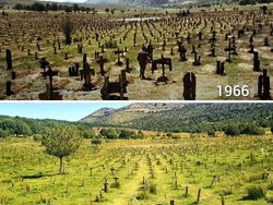 Foto Perbandingan Tempat di Film dan Kenyataan, Ada yang Kamu Tonton?