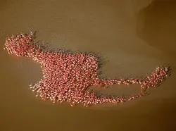 Takjub! Foto-foto Ini Buktikan Ketepatan Waktu adalah Kunci