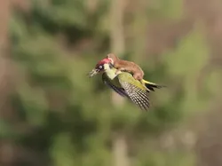 Takjub! Foto-foto Ini Buktikan Ketepatan Waktu adalah Kunci