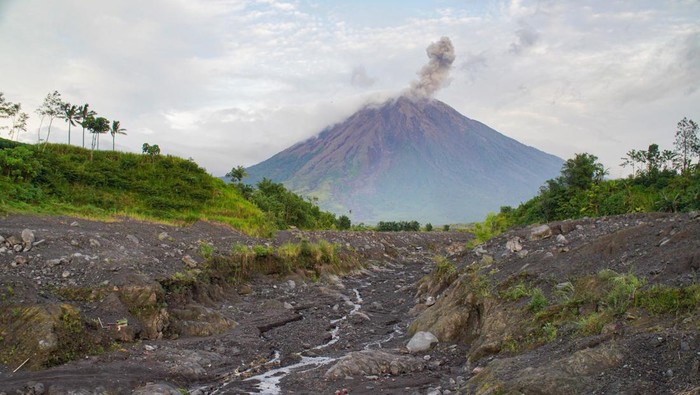 Gunung Semeru Erupsi Semburkan Abu Vulkanis Setinggi 700 Meter Asap vulkanis keluar dari kawah Gunung Semeru terlihat dari Desa Supiturang, Lumajang, Jawa Timur, Sabtu (28/12/2024). Bedasarkan data Pusat Vulkanologi Mitigasi Bencana Geologi (PVMBG) terjadi erupsi pada pukul 05:21 WIB dengan tinggi kolom abu teramati 700 meter di atas puncak atau kurang lebih 4376 m di atas permukaan laut, kolom abu teramati berwarna putih hingga kelabu dengan intensitas sedang ke arah utara. ANTARA FOTO/Irfan Sumanjaya/nz