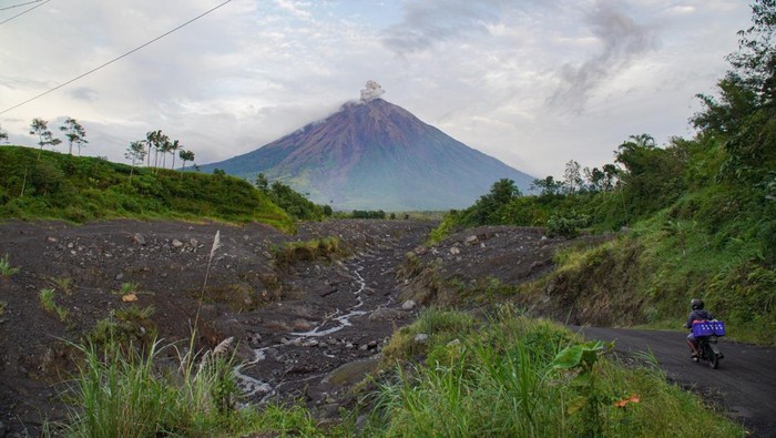 Gunung Semeru Erupsi Semburkan Abu Vulkanis Setinggi 700 Meter Asap vulkanis keluar dari kawah Gunung Semeru terlihat dari Desa Supiturang, Lumajang, Jawa Timur, Sabtu (28/12/2024). Bedasarkan data Pusat Vulkanologi Mitigasi Bencana Geologi (PVMBG) terjadi erupsi pada pukul 05:21 WIB dengan tinggi kolom abu teramati 700 meter di atas puncak atau kurang lebih 4376 m di atas permukaan laut, kolom abu teramati berwarna putih hingga kelabu dengan intensitas sedang ke arah utara. ANTARA FOTO/Irfan Sumanjaya/nz