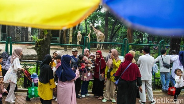 Liburan Murmer Weekend Terakhir 2024 di Ragunan