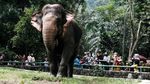 Liburan Murmer Weekend Terakhir 2024 di Ragunan