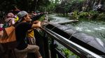 Liburan Murmer Weekend Terakhir 2024 di Ragunan