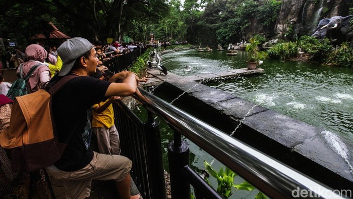 Pengunjung melihat satwa di Taman Margasatwa Ragunan, Jakarta Selatan, Sabtu (28/12/2024). Ragunan masih menjadi salah satu destinasi wisata favorit menghabiskan momen Nataru.