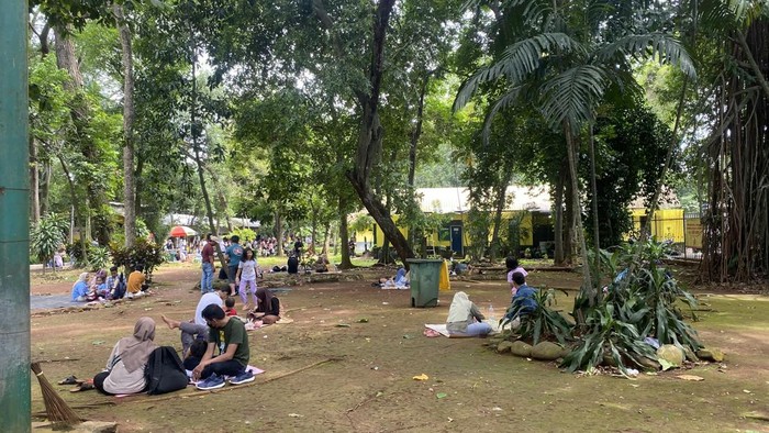 Pengunjung Ragunan gelar tikar di taman Ragunan