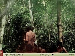 Penampakan Suku Amazon yang Tak Terkontak Dipotret dari Jarak Jauh