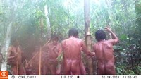 Suku Massaco di pedalaman hutan hujan Amazon